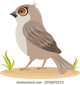 Cute zoo. Vector birds. Gray sparrow stands on the sand. Vector animals collection. Children's flat vector illustrations. 