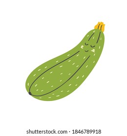 Hortalizas de calabacín. Vector aislado en verduras extraídas a mano