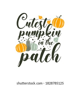 Cutest pumpkin in the patch inspirational slogan inscription. Vector thanksgiving quote. Illustration for prints on t-shirts and bags, posters, cards. Pumpkin season, Fall vector design.