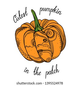 Cutest pumpkin in the patch lettering. Poster with  hand drawn doodle illustration of a pumpkin.  Vector. 