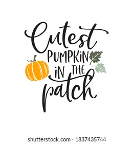 Cutest pumpkin in the patch slogan inscription  Vector quotes  Illustration for Thanksgiving for prints t  shirts   bags  posters  cards  Isolated white background  Thanksgiving phrase 