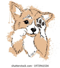 The cutest puppy is the corgi. Sketch drawn by hand, complemented by watercolor blots. 