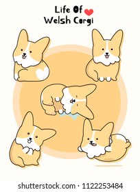 Cutest Welsh Corgi in 5 daily actions with vector illustration