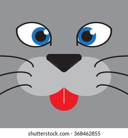 cutie cat's face
