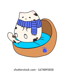 Cutie chubby lovely calico cat