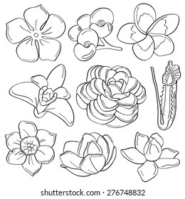 Cutie Flowers