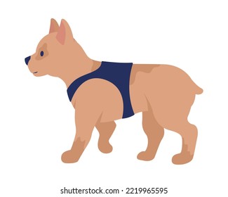 Cutie puppy semi flat color vector character. Editable figure. Full sized animal on white. Smart domestic animal. Purebreed simple cartoon style illustration for web graphic design and animation