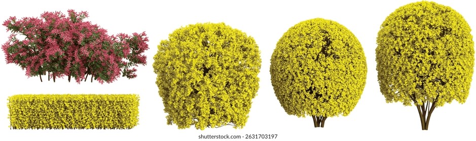 Cutout plants for garden design or landscaping