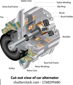 Cut-out view of vehicle alternator