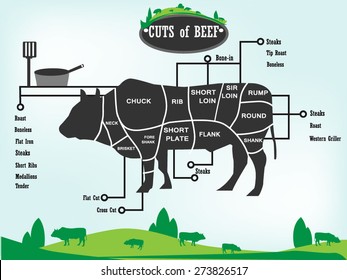 cuts of beef