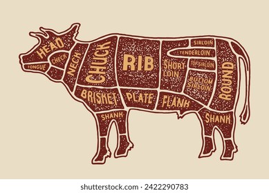 Cuts of Beef Anatomy Vektor Illustration