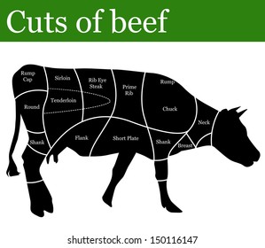 Cuts of beef background, vector illustration