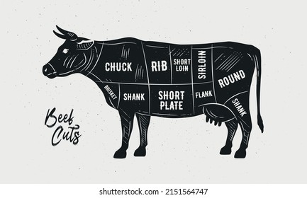 Cuts of Beef. Butcher Diagram, scheme, chart. Cow sketch silhouette isolated on white background. Vintage Poster for butcher shop, barbecue. Vector illustration