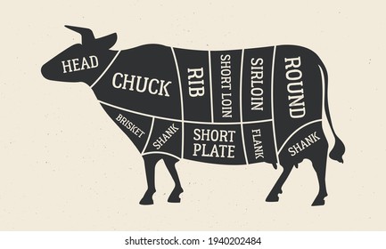 Cuts of Beef. Butcher's diagram with Cow silhouette. Meat cuts of Beef. Vintage butcher guide template for grocery store, meat shop, butchery, restaurant. Vector illustration