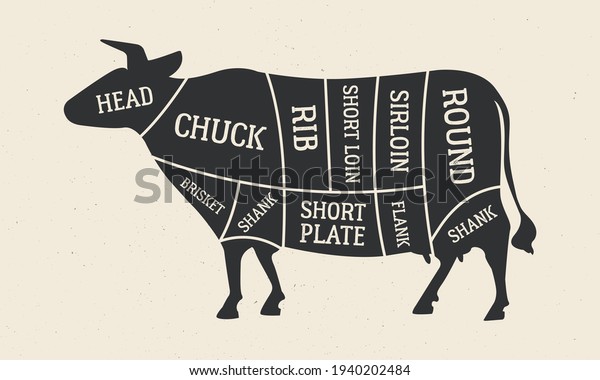 Cuts of Beef.\
Butcher\'s diagram with Cow silhouette. Meat cuts of Beef. Vintage\
butcher guide template for grocery store, meat shop, butchery,\
restaurant. Vector\
illustration