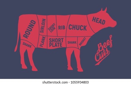 Cuts of beef. Cow meat cuts. Vintage Poster. Retro diagram. Vector illustration