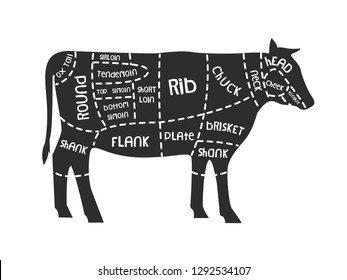 Cuts of beef. Meat. Vector illlustration for butcher shop.