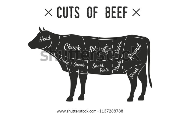 牛肉の切り身 肉が切れる 肉屋のビンテージポスター レトロ図 牛のシルエット のベクター画像素材 ロイヤリティフリー