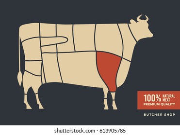 Cuts of beef. Poster with picture of cow for butcher shop, farmer market. Vector illustration.