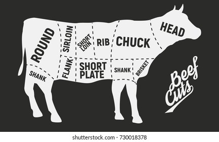 Cuts of beef Poster. Vintage diagram. Vector illustration