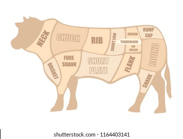 Cuts Of Beef Vector Illustration. Beef Cutting Diagram. Butcher Diagram Cow. 