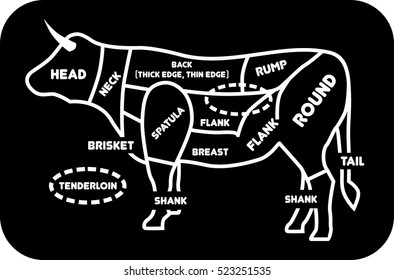 Cuts of beef vector illustration. Poster Butcher Diagrams for butcher shop - Cow