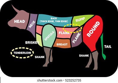 Cuts of beef vector illustration. Poster Butcher Diagrams for butcher shop - Cow