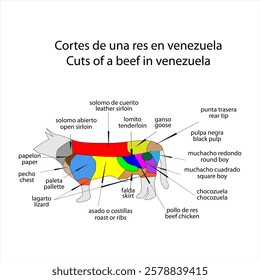 Cuts of a beef in venezuela