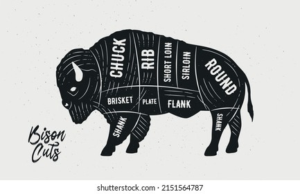 Cuts of Bison. Butcher Diagram, scheme, chart. Bison, Buffalo sketch silhouette isolated on white background. Vintage Poster for butcher shop, barbecue. Vector illustration