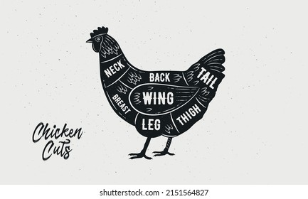 Cuts of Chicken. Butcher Diagram, scheme, chart. Hen sketch silhouette isolated on white background. Vintage Poster for butcher shop, barbecue. Vector illustration