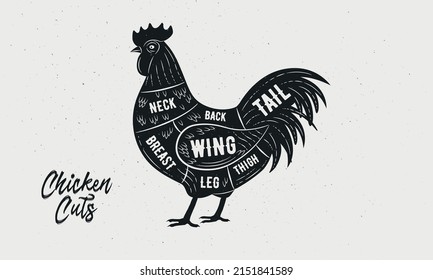 Cuts of Chicken. Butcher Diagram, scheme, chart. Rooster sketch silhouette isolated on white background. Vintage Poster for butcher shop, barbecue. Vector illustration