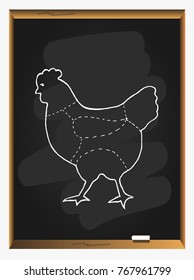 Cuts of Chicken on blackboard background. Meat cuts. diagram and scheme - Chicken. Diagrams for butcher shop. Vector illustration.