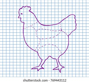 Cuts of Chicken on copybook background. Meat cuts. diagram and scheme - Chicken. Diagrams for butcher shop. Vector illustration.