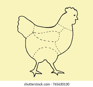 Cuts of Chicken on creme background. Meat cuts. diagram and scheme - Chicken. Diagrams for butcher shop. Vector illustration.