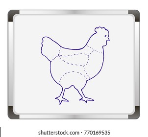 Cuts of Chicken on flip chart background. Meat cuts. diagram and scheme - Chicken. Diagrams for butcher shop. Vector illustration.