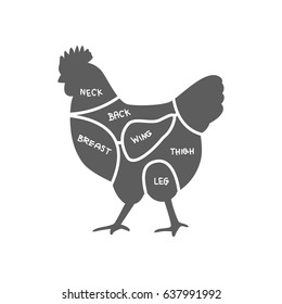 Cuts of Chicken vector illustration