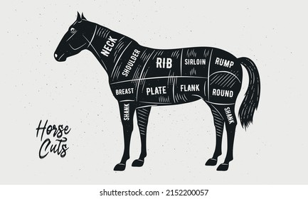 Cuts of Horse. Butcher Diagram, scheme, chart. Horse sketch silhouette isolated on white background. Vintage Poster for butcher shop, barbecue, restaurant. Vector illustration