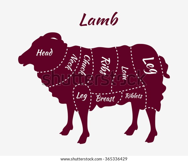 How To Butcher A Lamb Chart