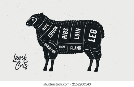 Cuts of Lamb. Butcher Diagram, scheme, chart. Sheep sketch silhouette isolated on white background. Vintage Poster for butcher shop, barbecue, restaurant. Vector illustration