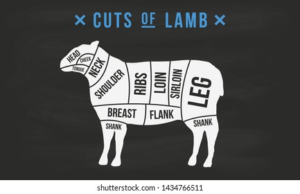 Cuts of Lamb. Butcher's guide diagram. Vintage poster for butcher shop, meat shop, grocery store, restaurant. Vector illustration