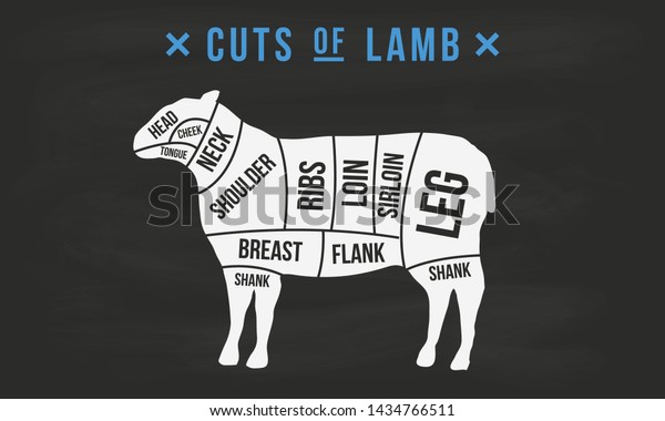 Cuts of Lamb. Butcher\'s guide diagram.\
Vintage poster for butcher shop, meat shop, grocery store,\
restaurant. Vector\
illustration