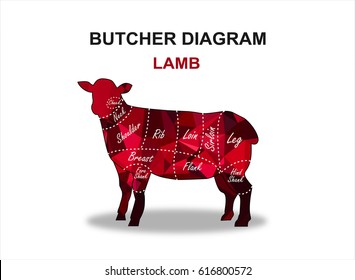 Cuts of lamb. Butchery guide of lamb. Badge, label, emblem, design element for restaurant, fast food, advertising and other