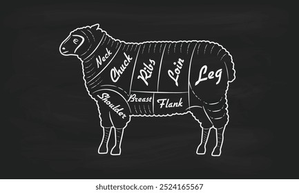 Pedaços de carne de cordeiro. Cortes de cordeiro. Diagrama guia do açougueiro. Cartaz vintage para açougue, loja de carne, supermercado, restaurante. Ilustração vetorial