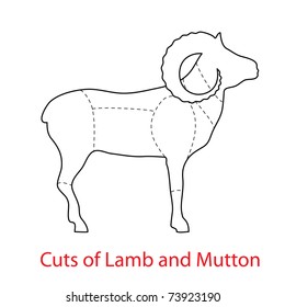 Cuts of Lamb and Mutton.Pattern diagram