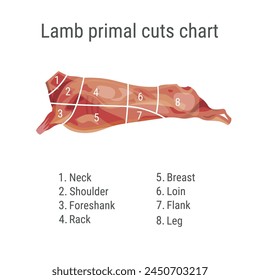 Cuts of lamb. Sheep meat cutting diagram. Schema for a butcher shop. Vector illustration isolated on a white background