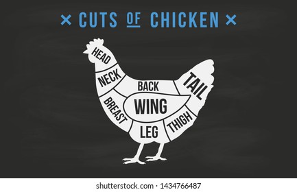 Cuts Of Meat. Chicken Cuts. Butcher's Guide Diagram. Vintage Poster For Butcher Shop, Meat Shop, Grocery Store, Restaurant. Vector Illustration