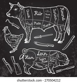 Cuts of meat - chicken, pork and beef with a set of the knives. Vector.