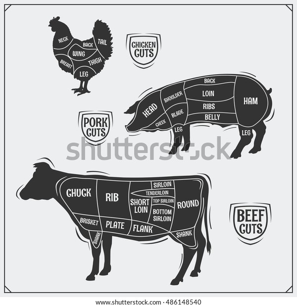 Cuts Meat Chicken Pork Beef Vintage Stock Vector (Royalty Free) 486148540