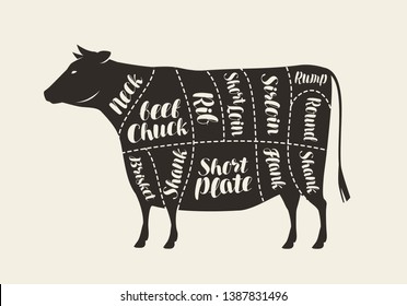 Cuts Of Meat, Cow. Butcher Shop, Beef Vector Illustration