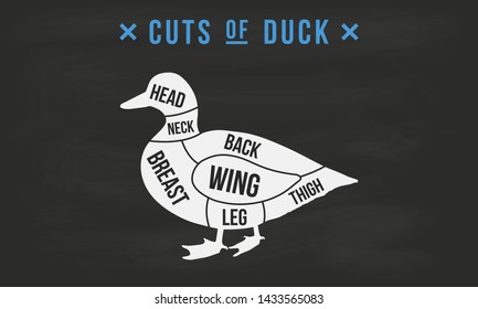 Cuts Of Meat. Duck Cuts. Butcher's Guide Diagram. Vintage Poster For Butcher Shop, Meat Shop, Grocery Store, Restaurant. Vector Illustration